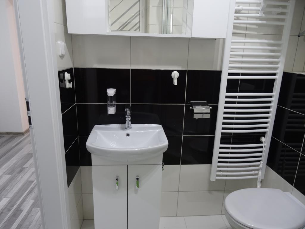 Apartamento Skorkovského Business *